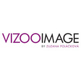 Vizoo image